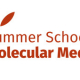 logo Summer School Molecular Medicine